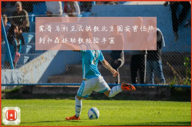 蒙哥马利正式执教北京国安曾任热刺和森林助教经验丰富