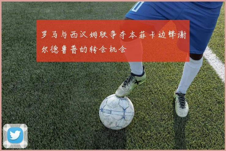 罗马与西汉姆联争夺本菲卡边锋谢尔德鲁普的转会机会